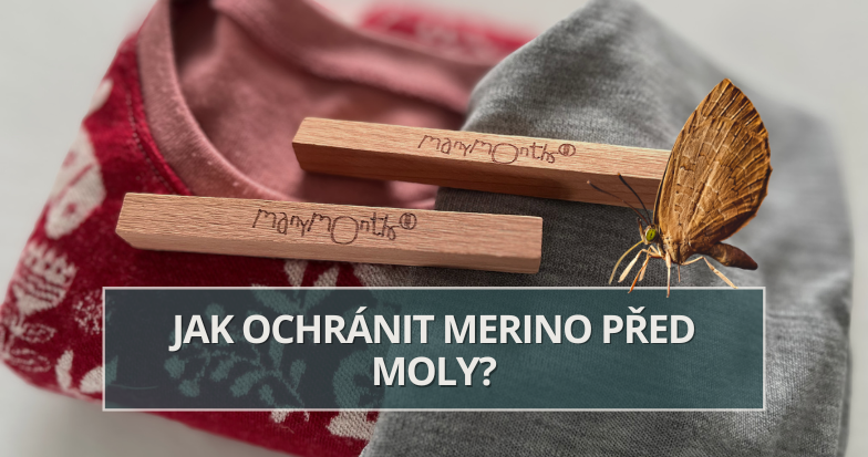 Velký jarní úklid: Jak ochránit merino před moly?